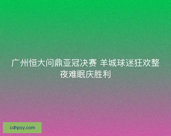 广州恒大问鼎亚冠决赛 羊城球迷狂欢整夜难眠庆胜利 广州恒大问鼎亚冠决赛 羊城球迷狂欢整夜难眠庆胜利